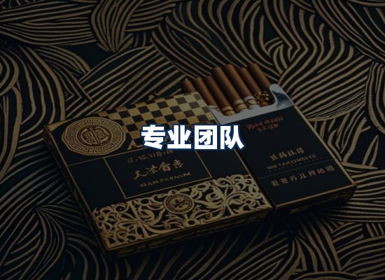 专业团队
